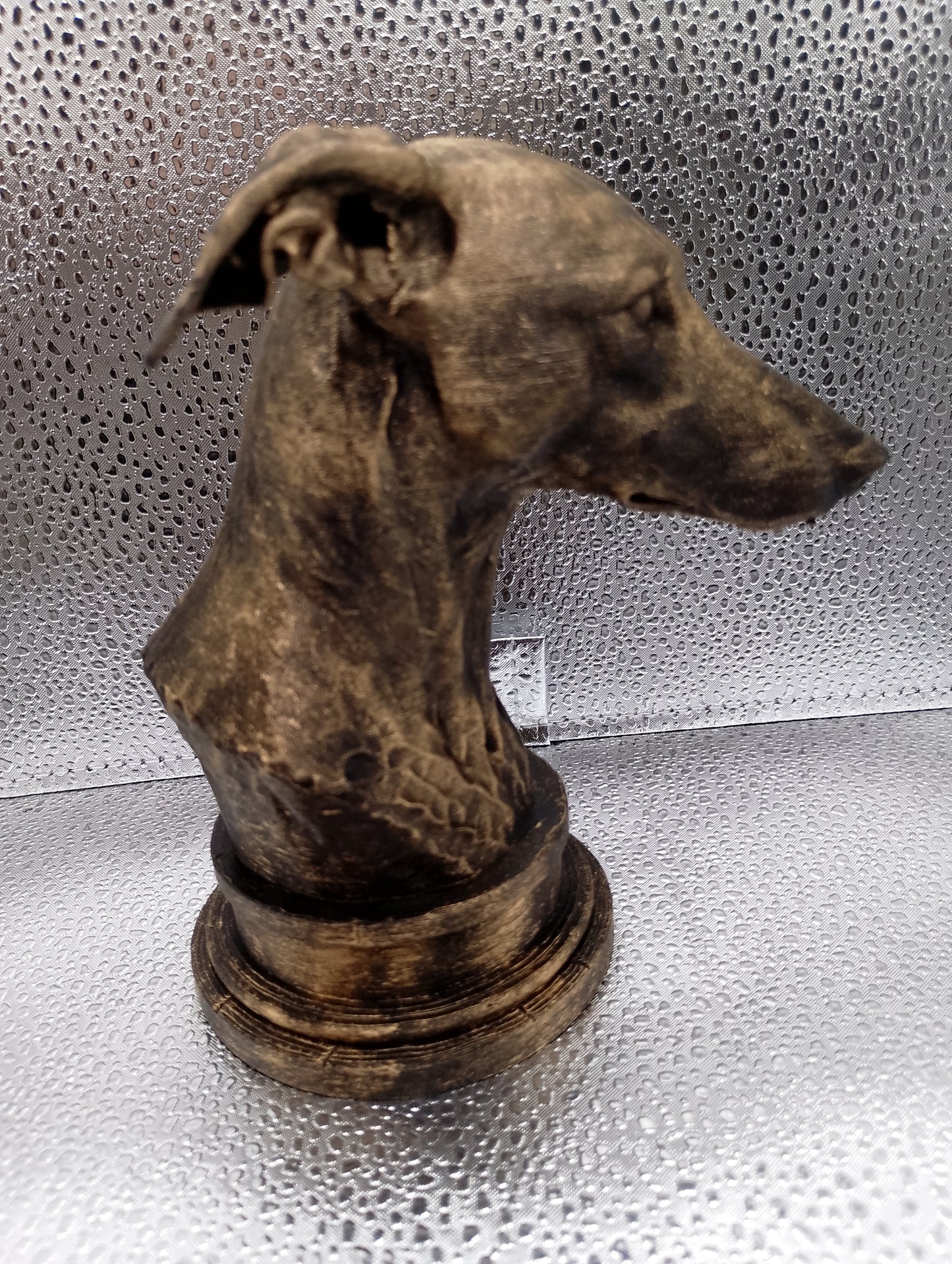 Greyhound Bust