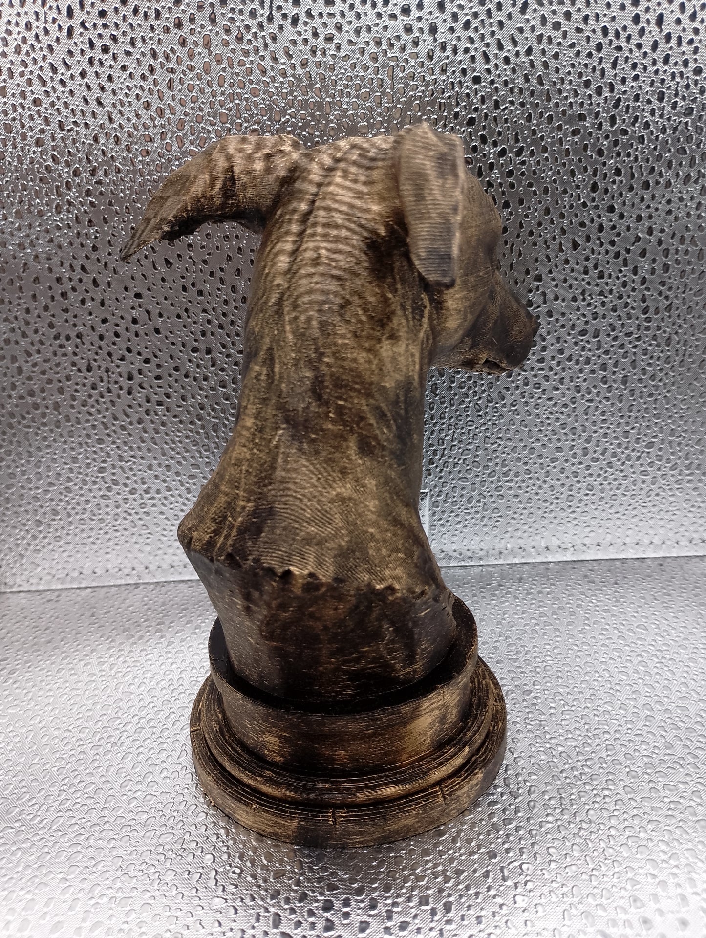 Greyhound Bust
