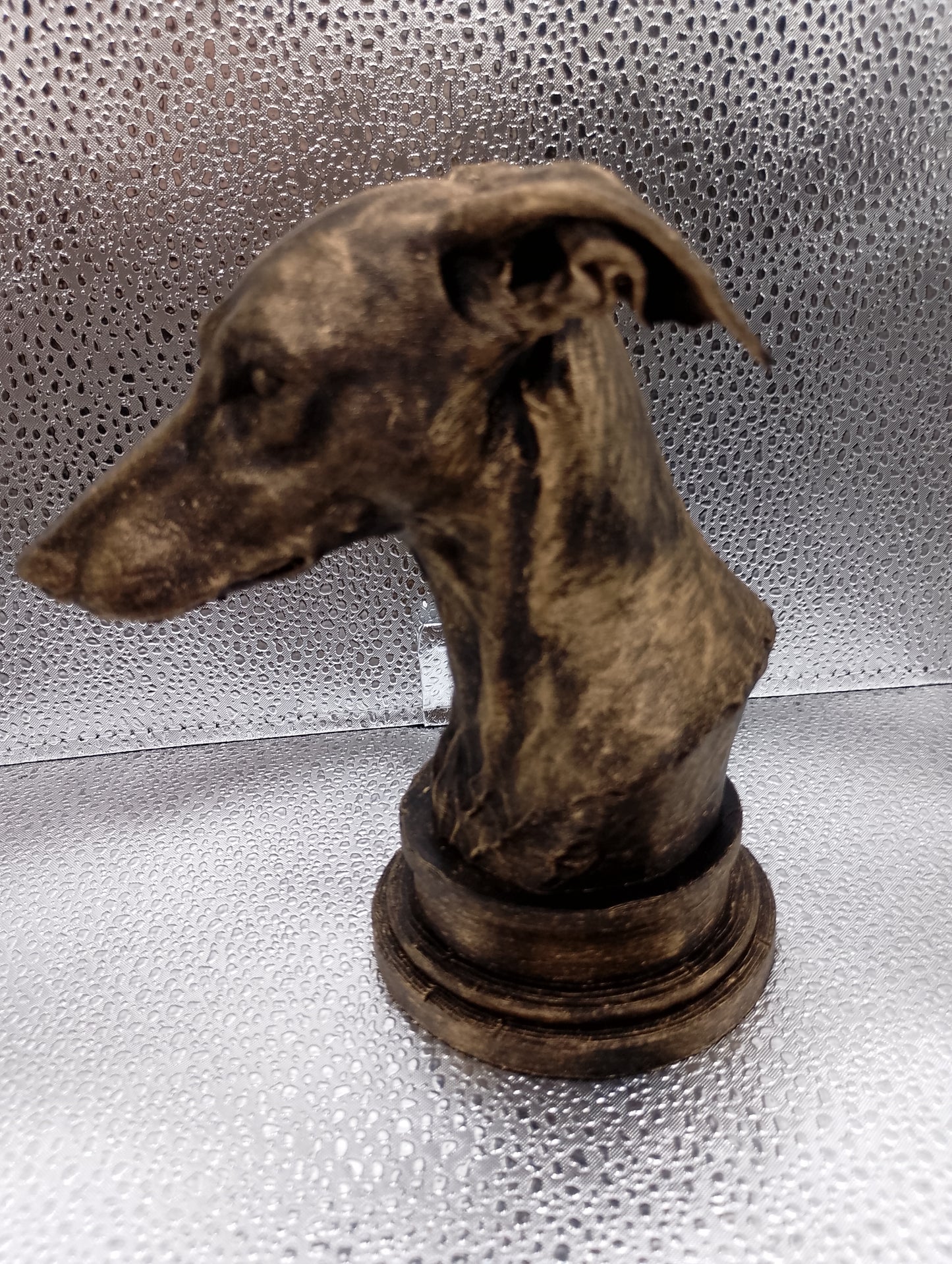 Greyhound Bust