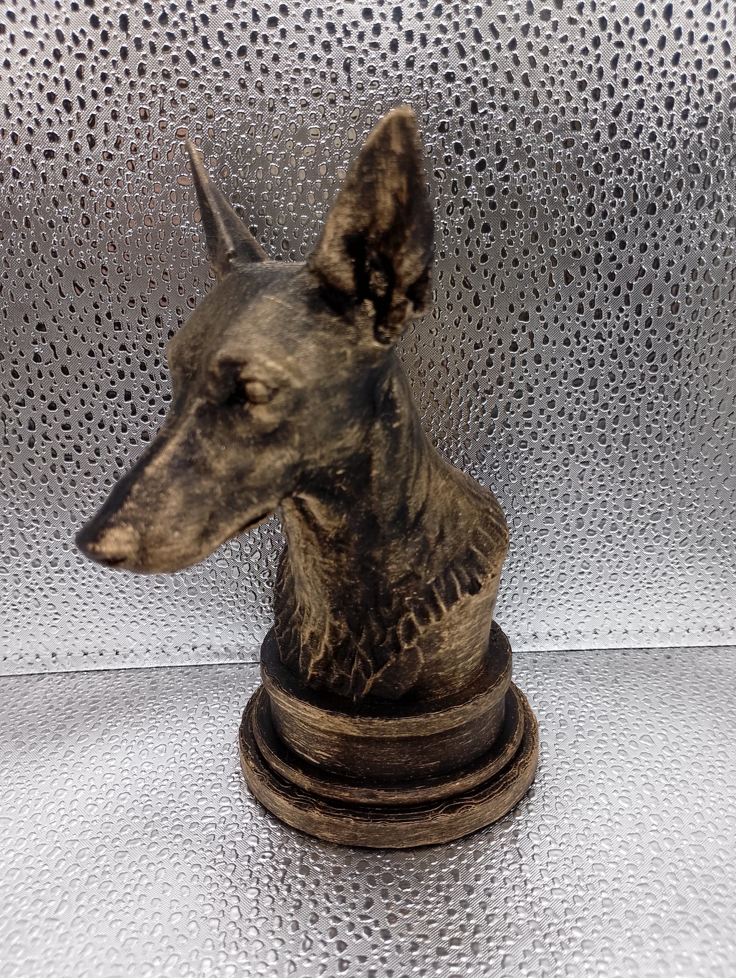 Podenco Bust