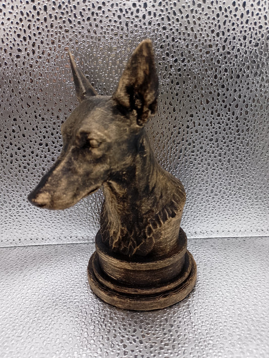 Podenco Bust