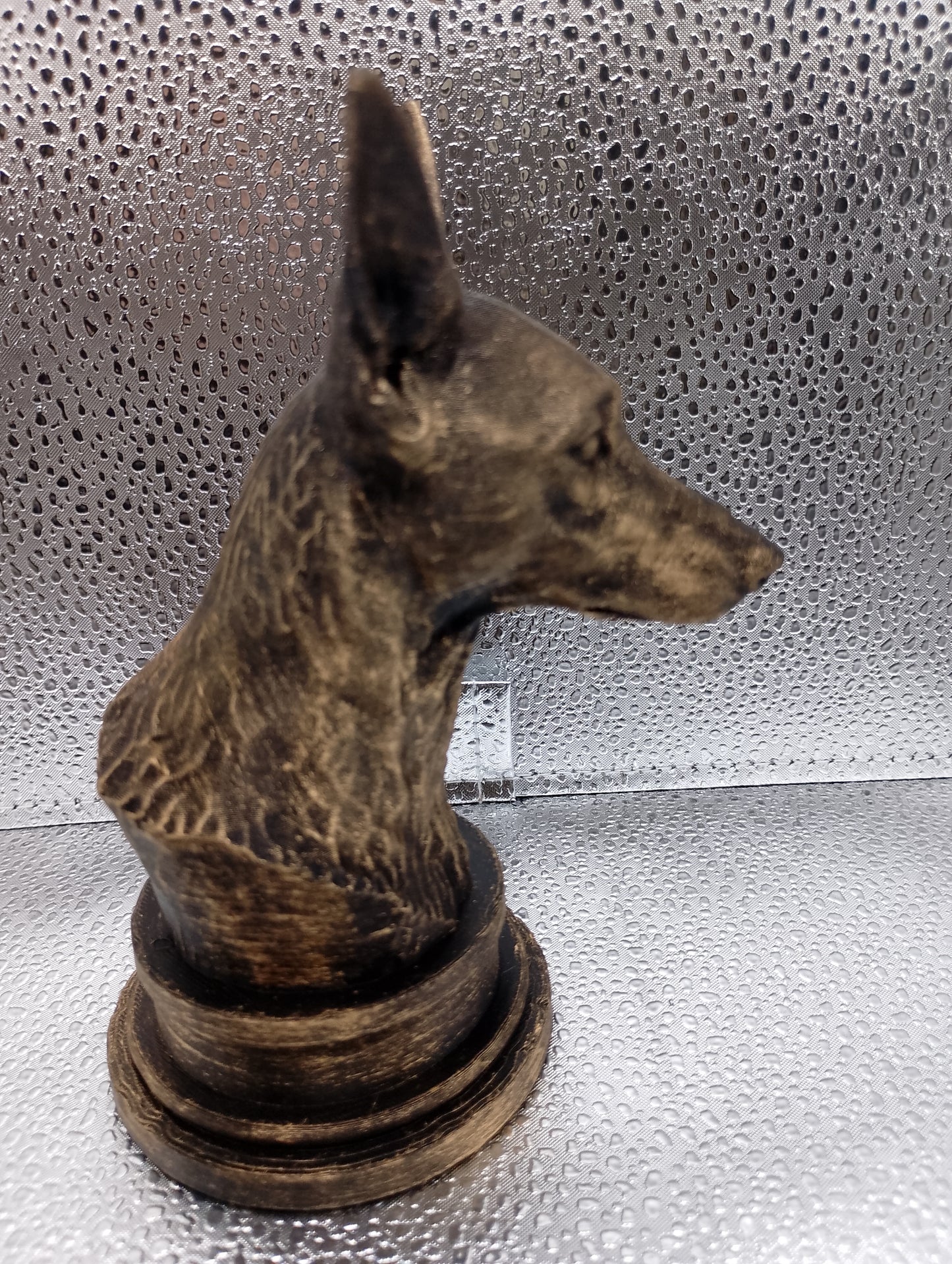 Podenco Bust