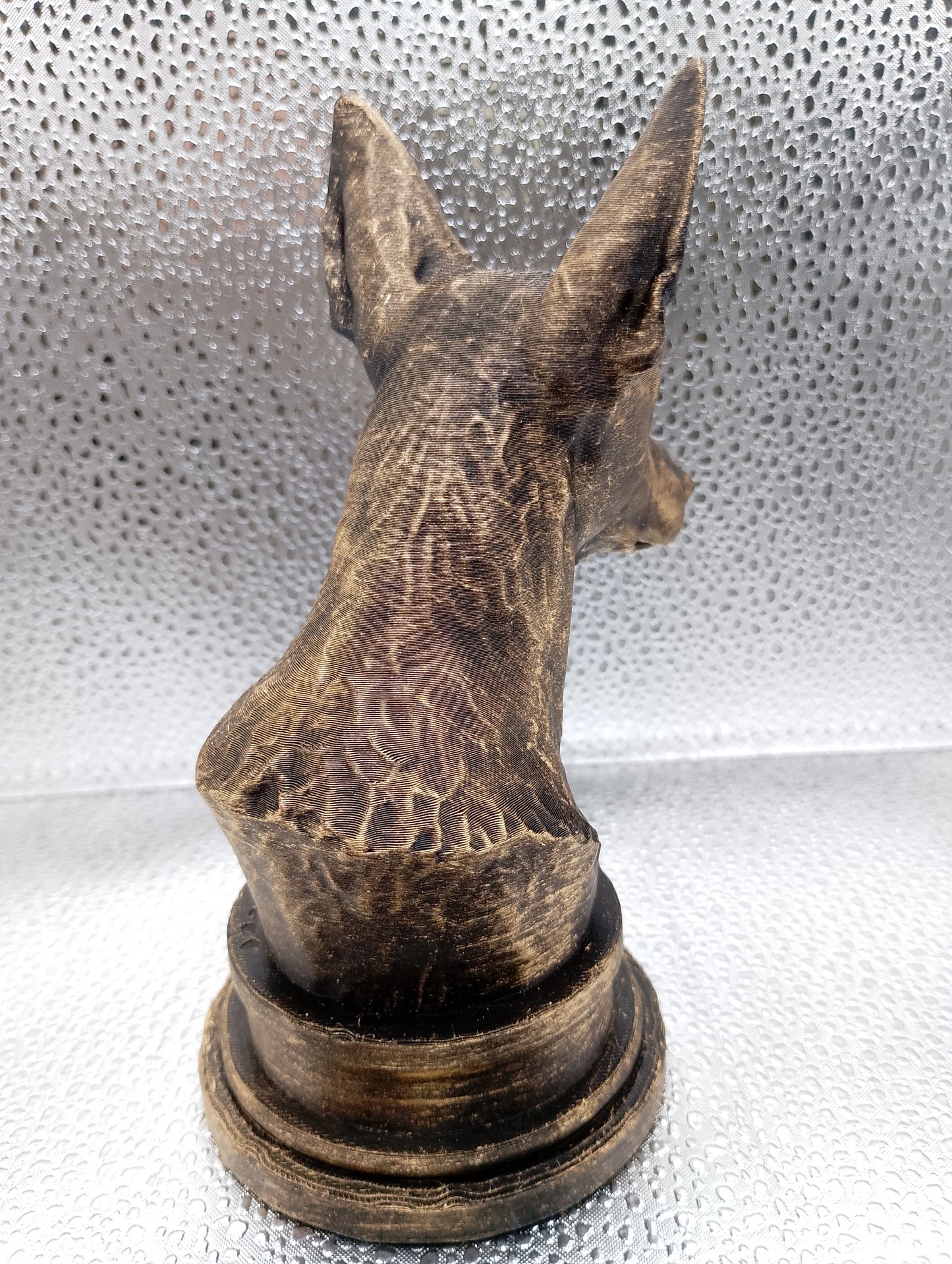 Podenco Bust