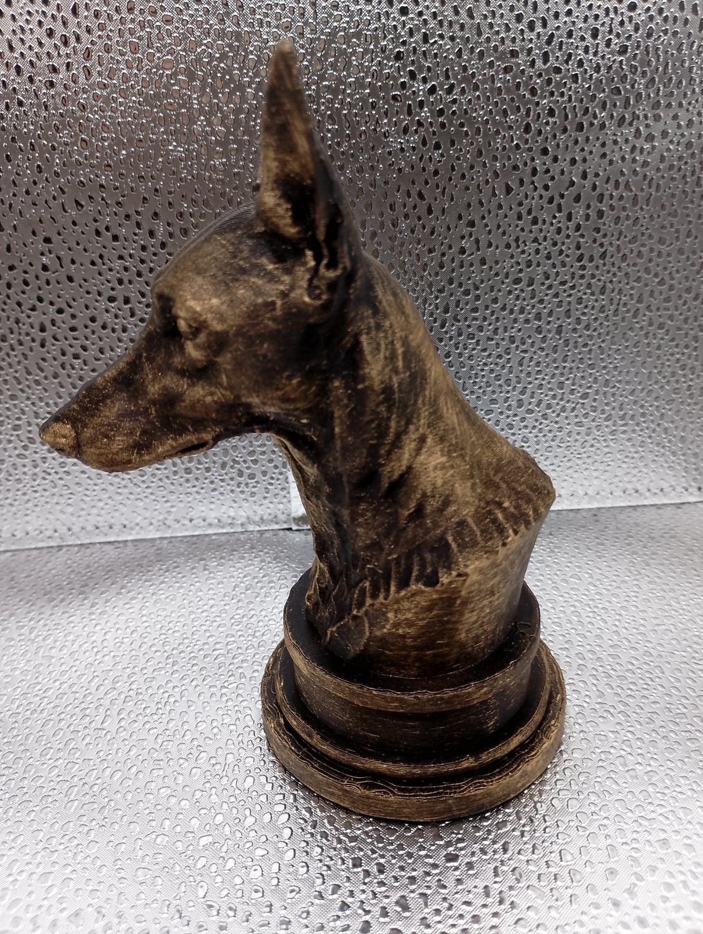 Podenco Bust