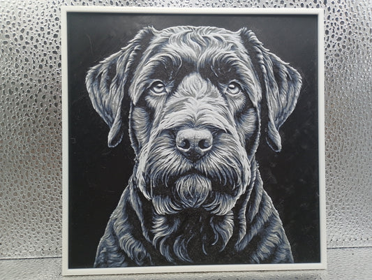 Black Russian Terrier - Hueforge
