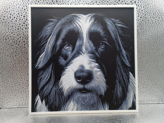 Bearded Collie - Hueforge