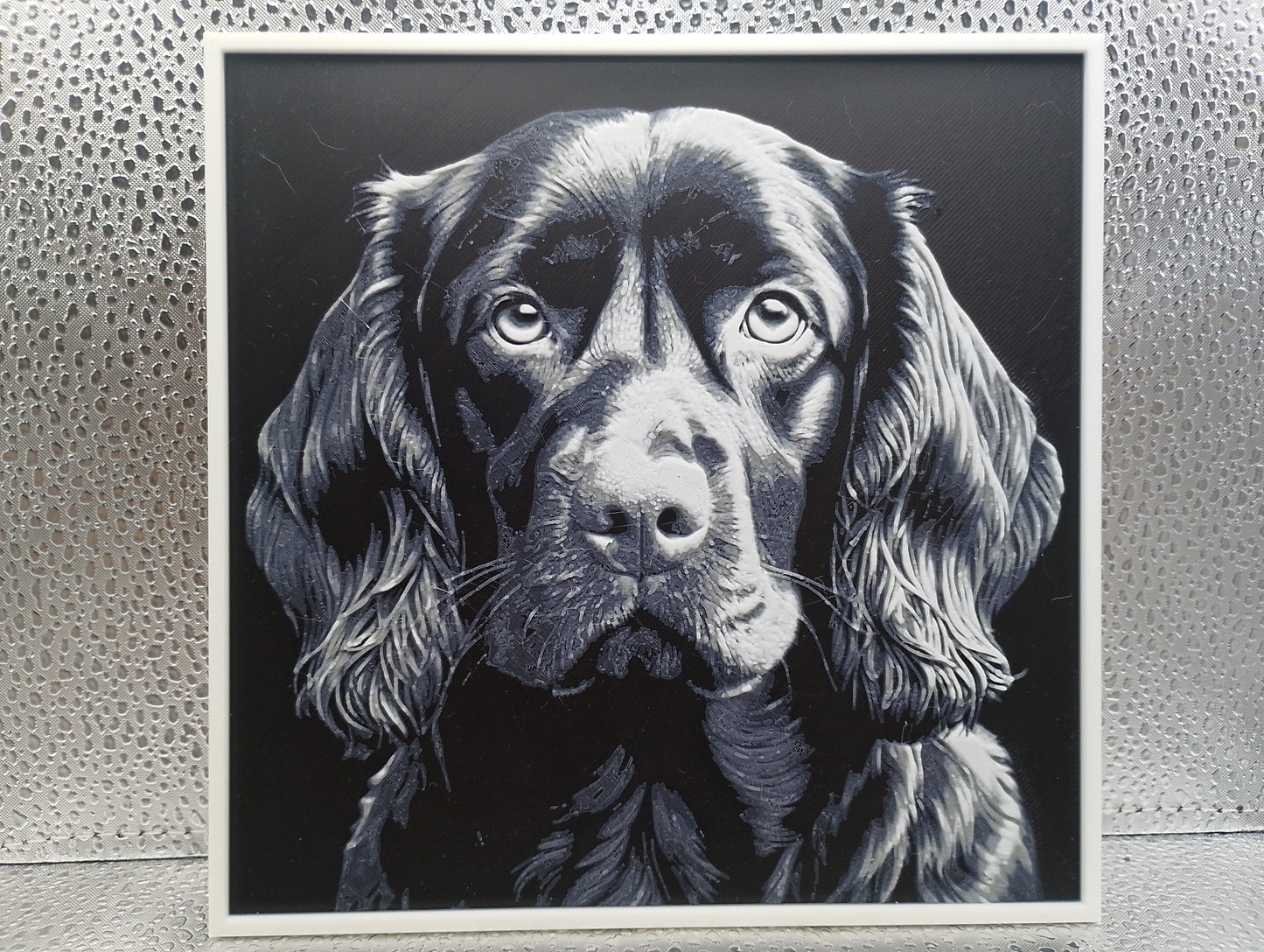 Boykin Spaniel - Hueforge