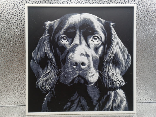 Boykin Spaniel - Hueforge