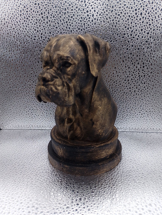 Boxer Bust