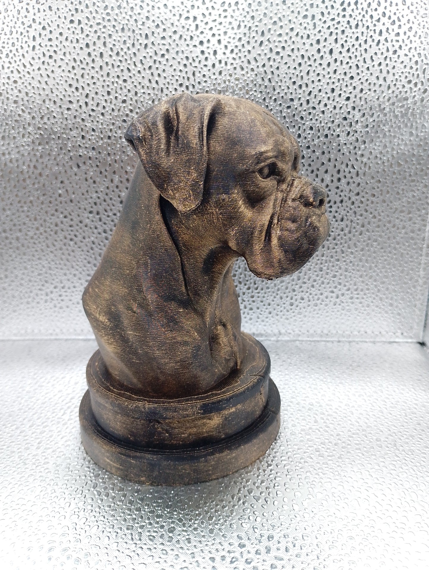 Boxer Bust