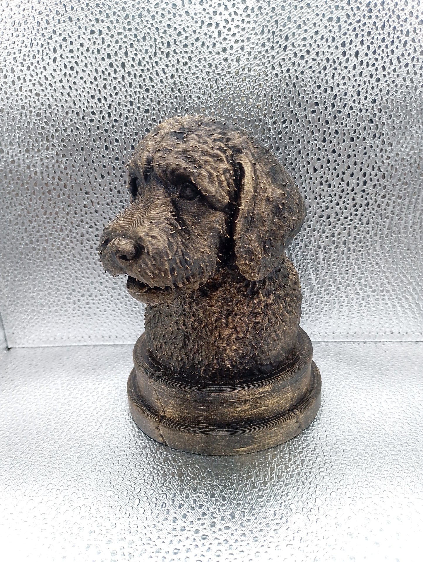 Bernedoodle Bust