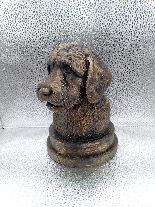 Bernedoodle Bust