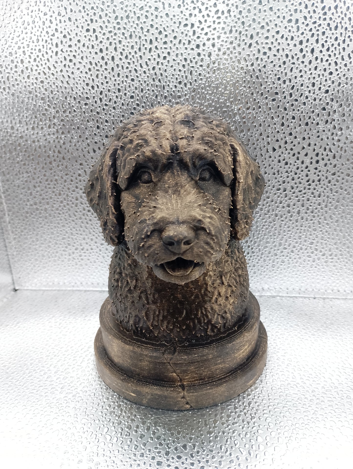 Bernedoodle Bust