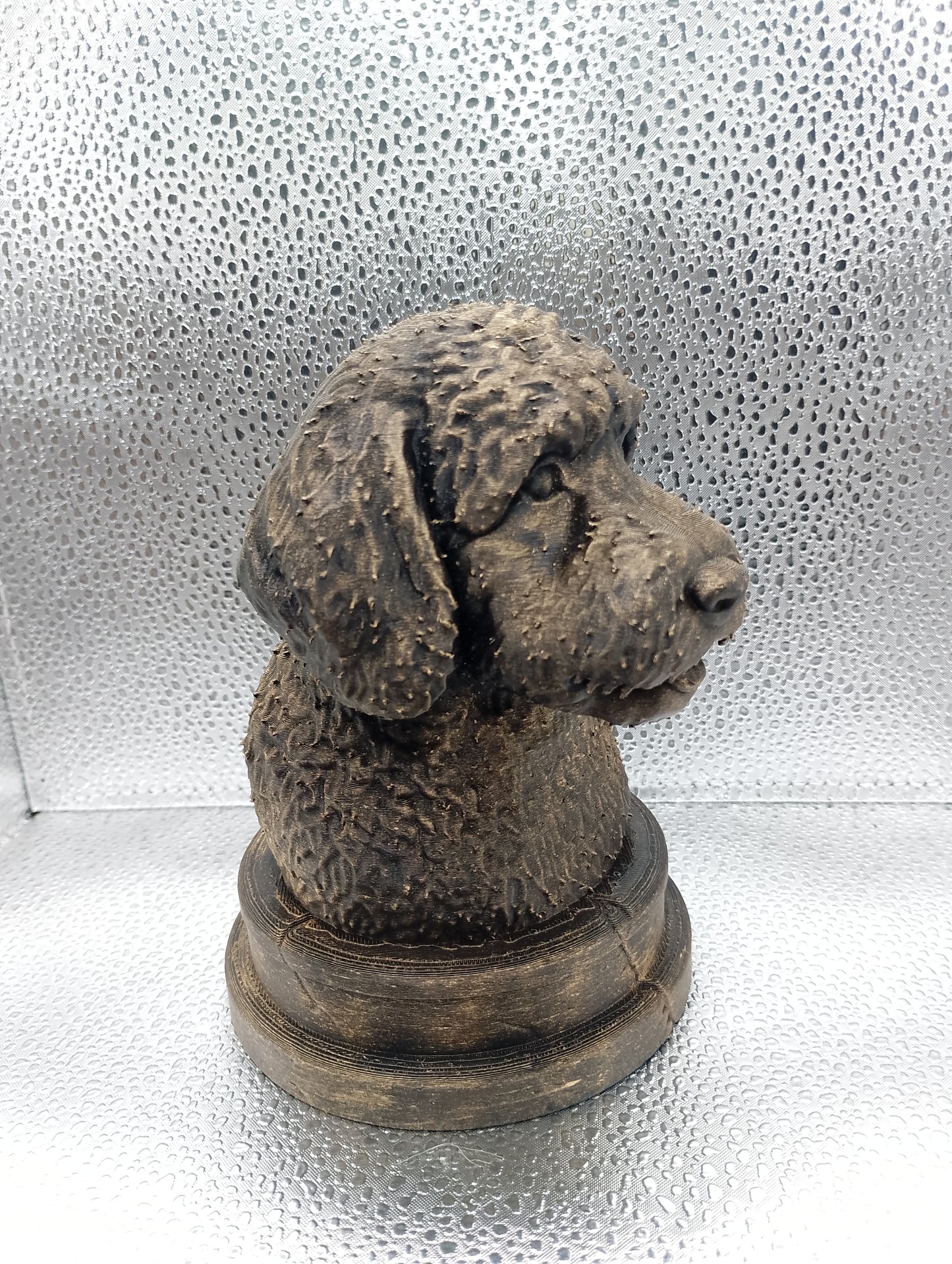 Bernedoodle Bust