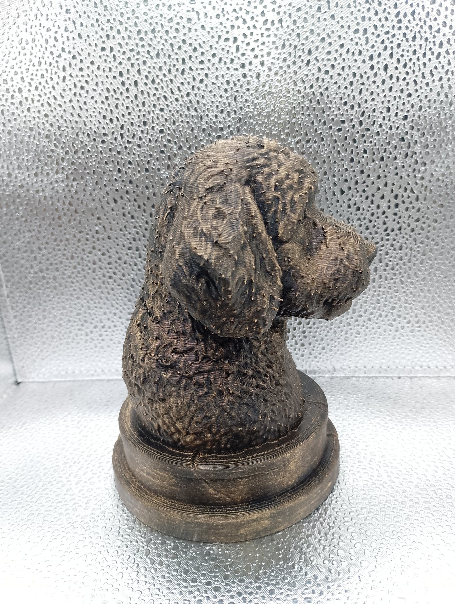 Bernedoodle Bust