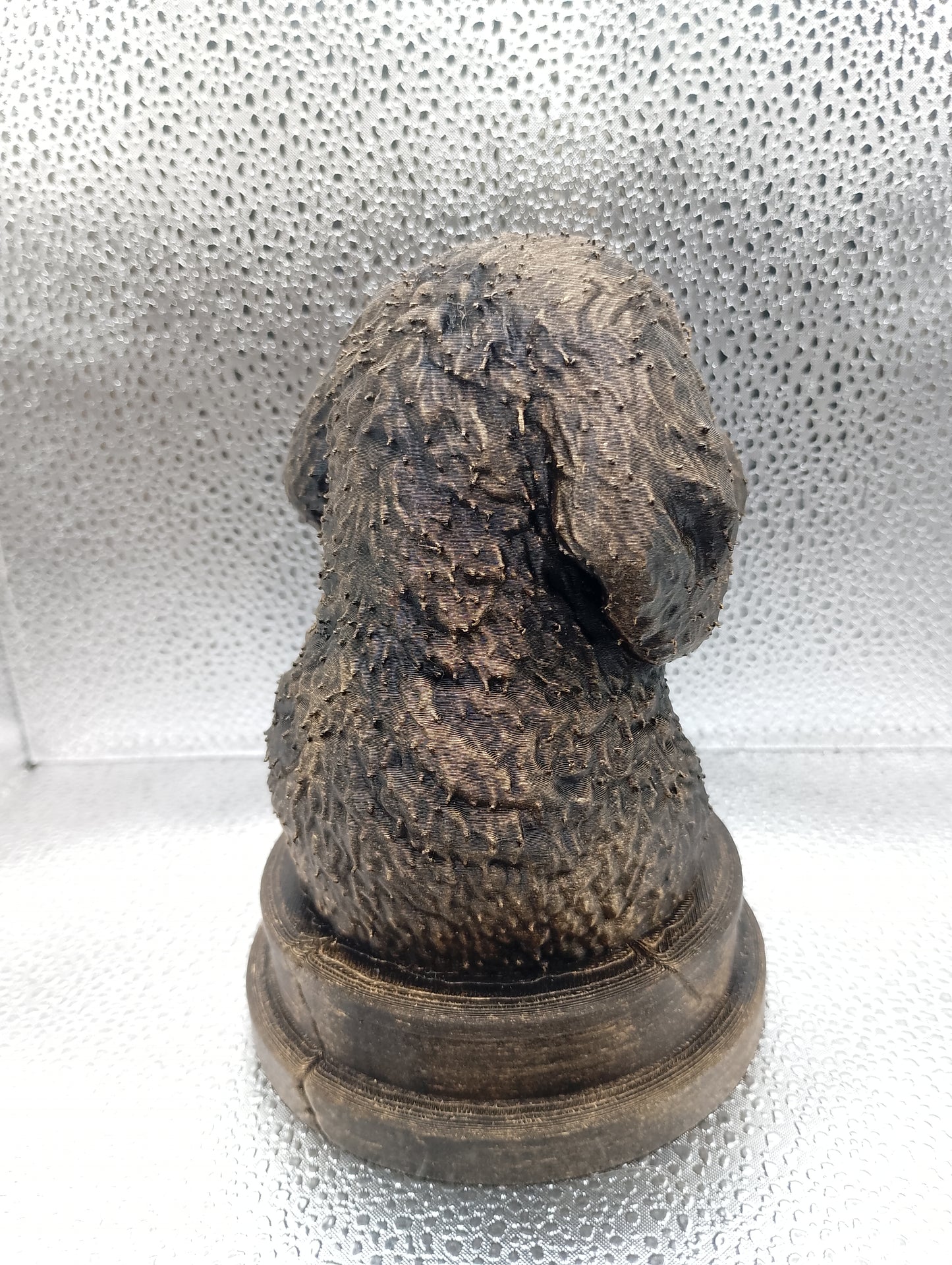 Bernedoodle Bust