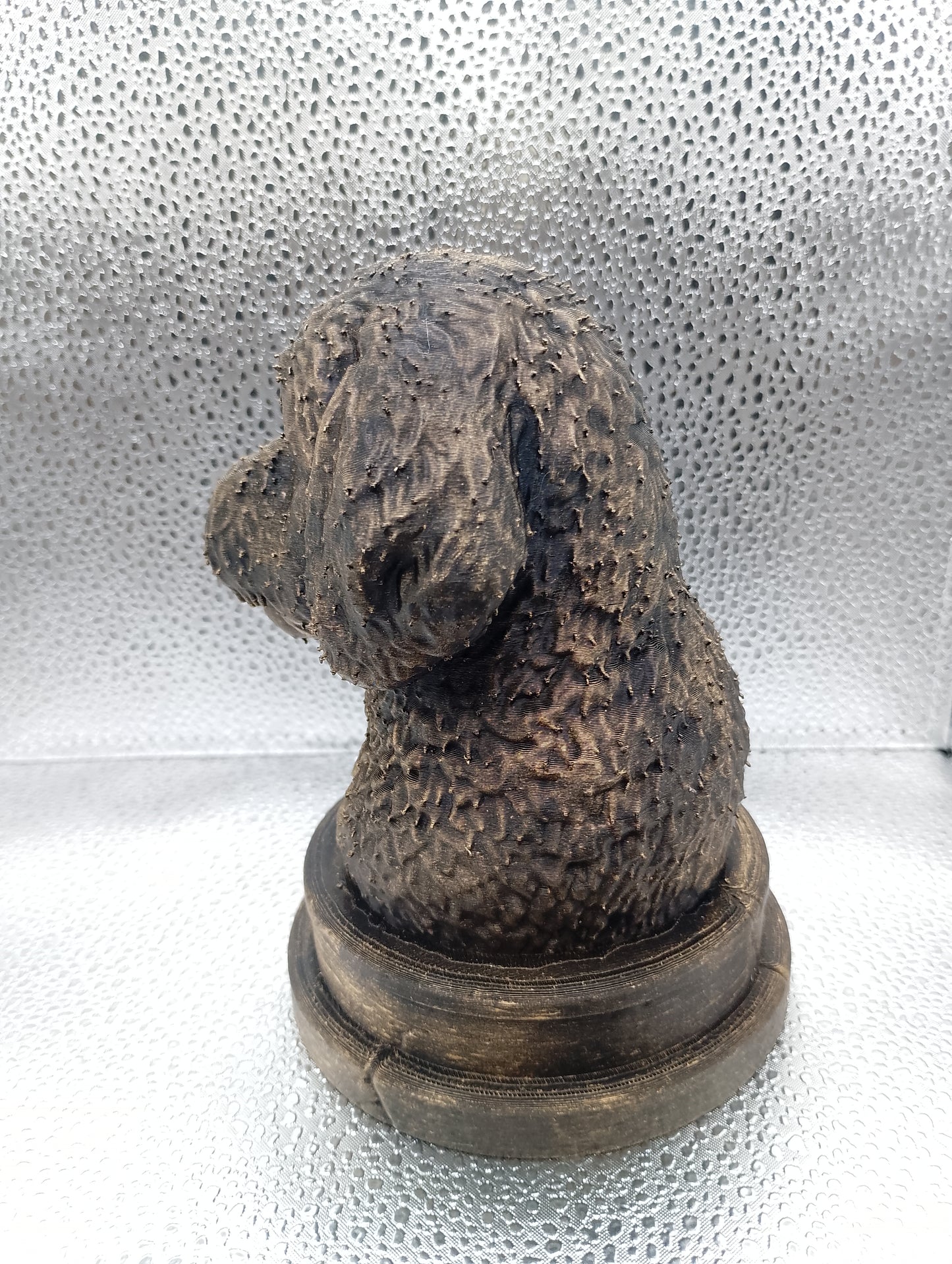 Bernedoodle Bust