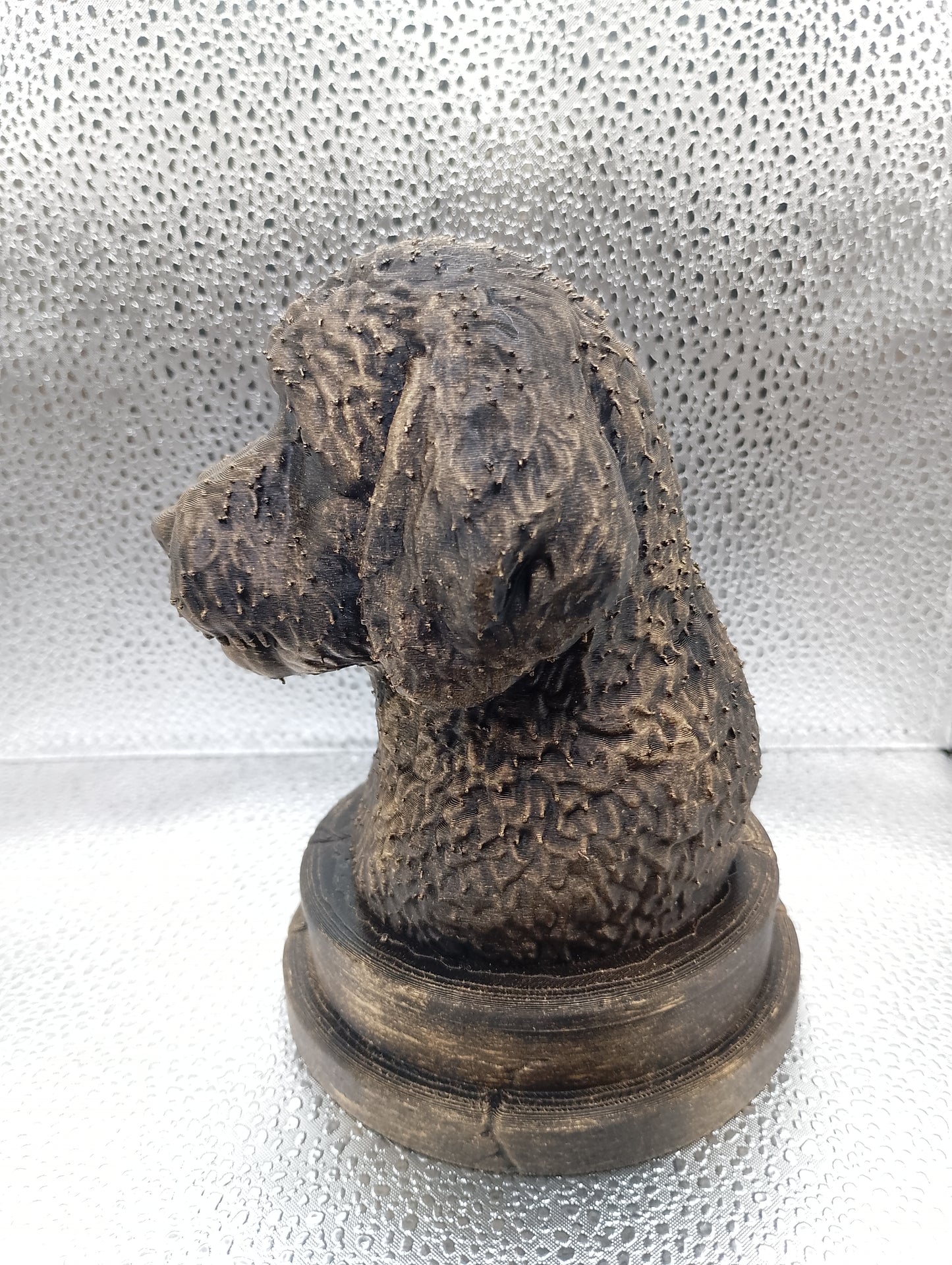 Bernedoodle Bust