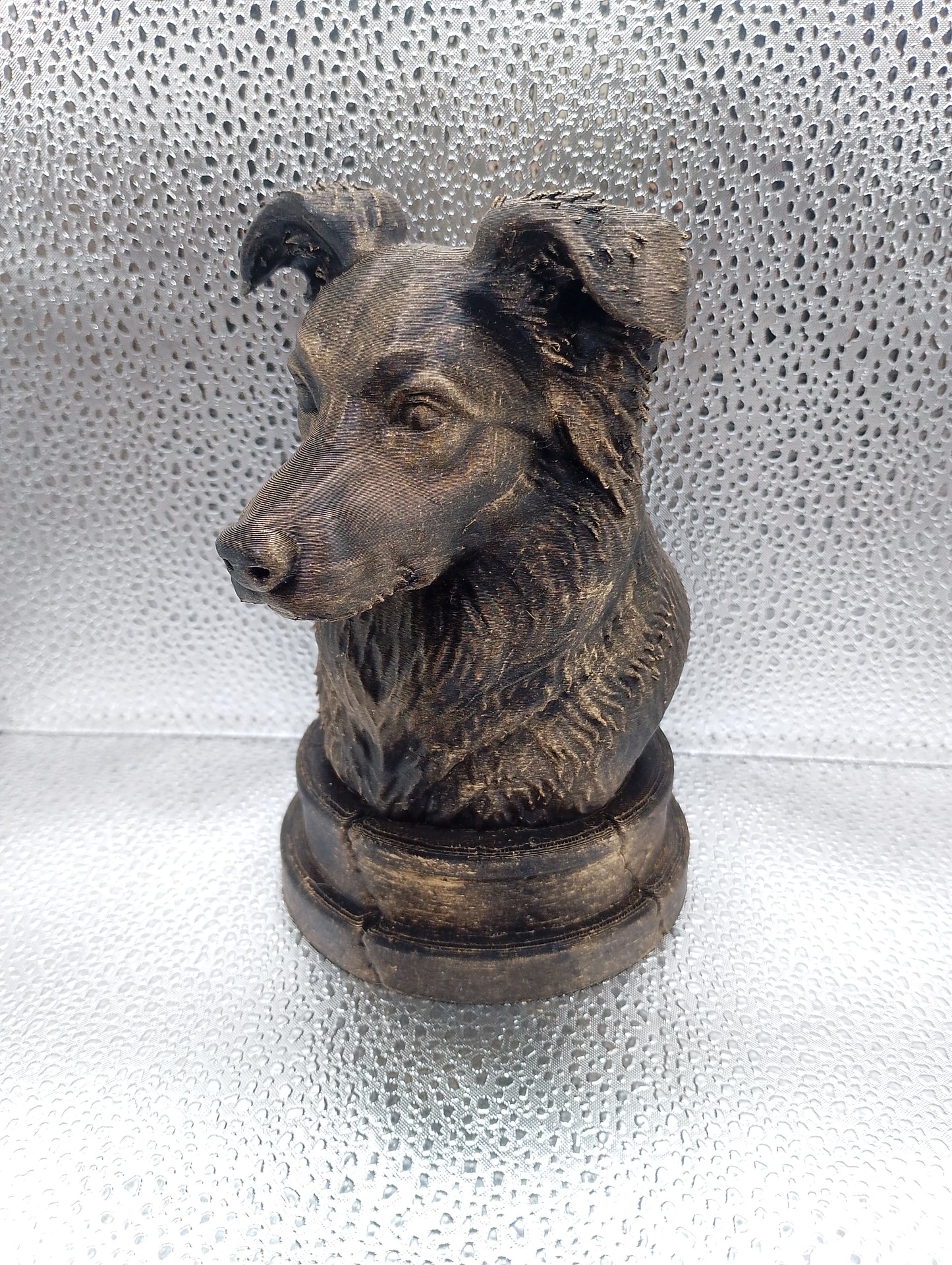 Border Collie Bust