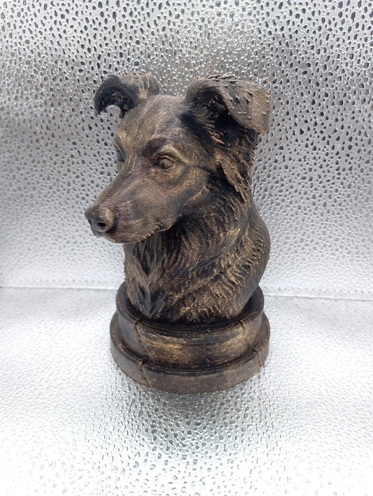 Border Collie Bust