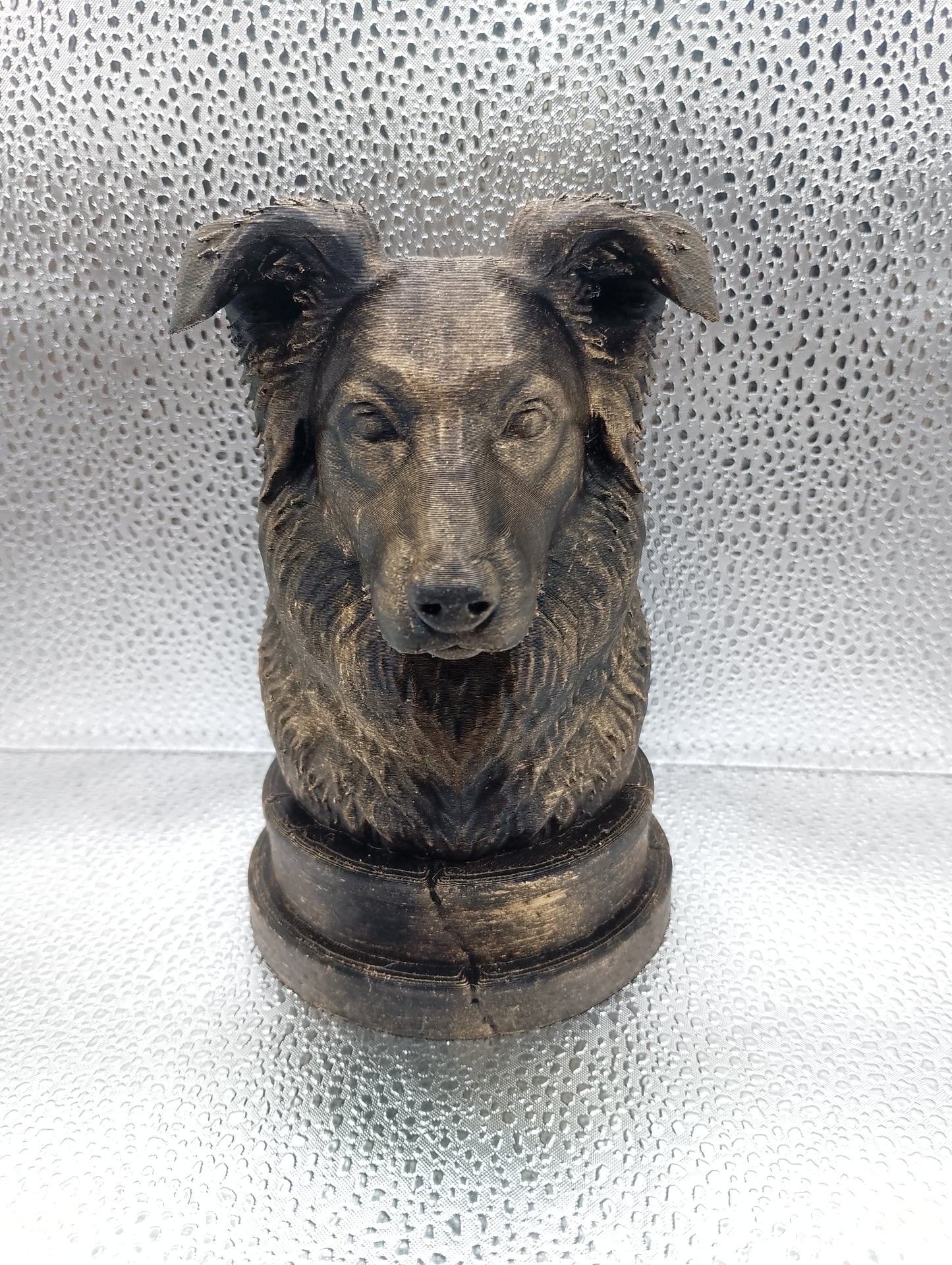 Border Collie Bust