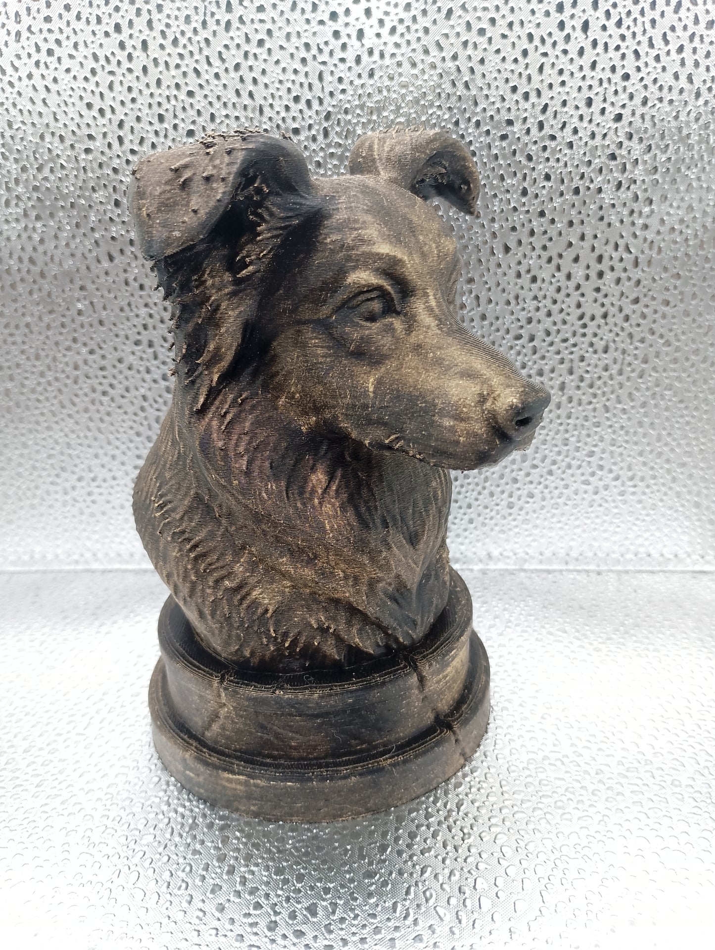 Border Collie Bust