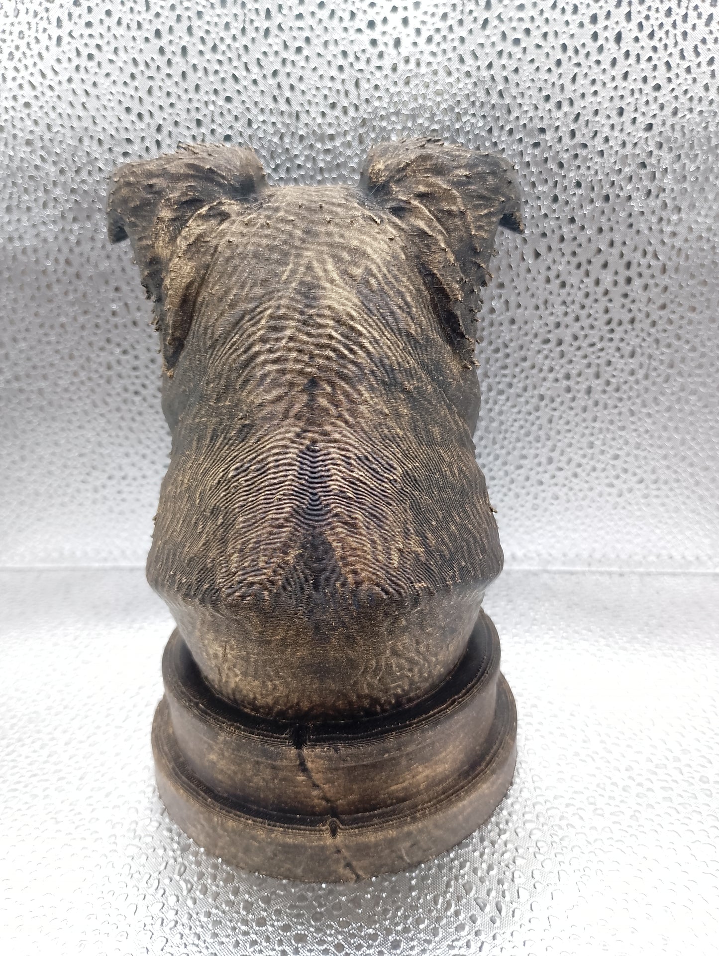 Border Collie Bust