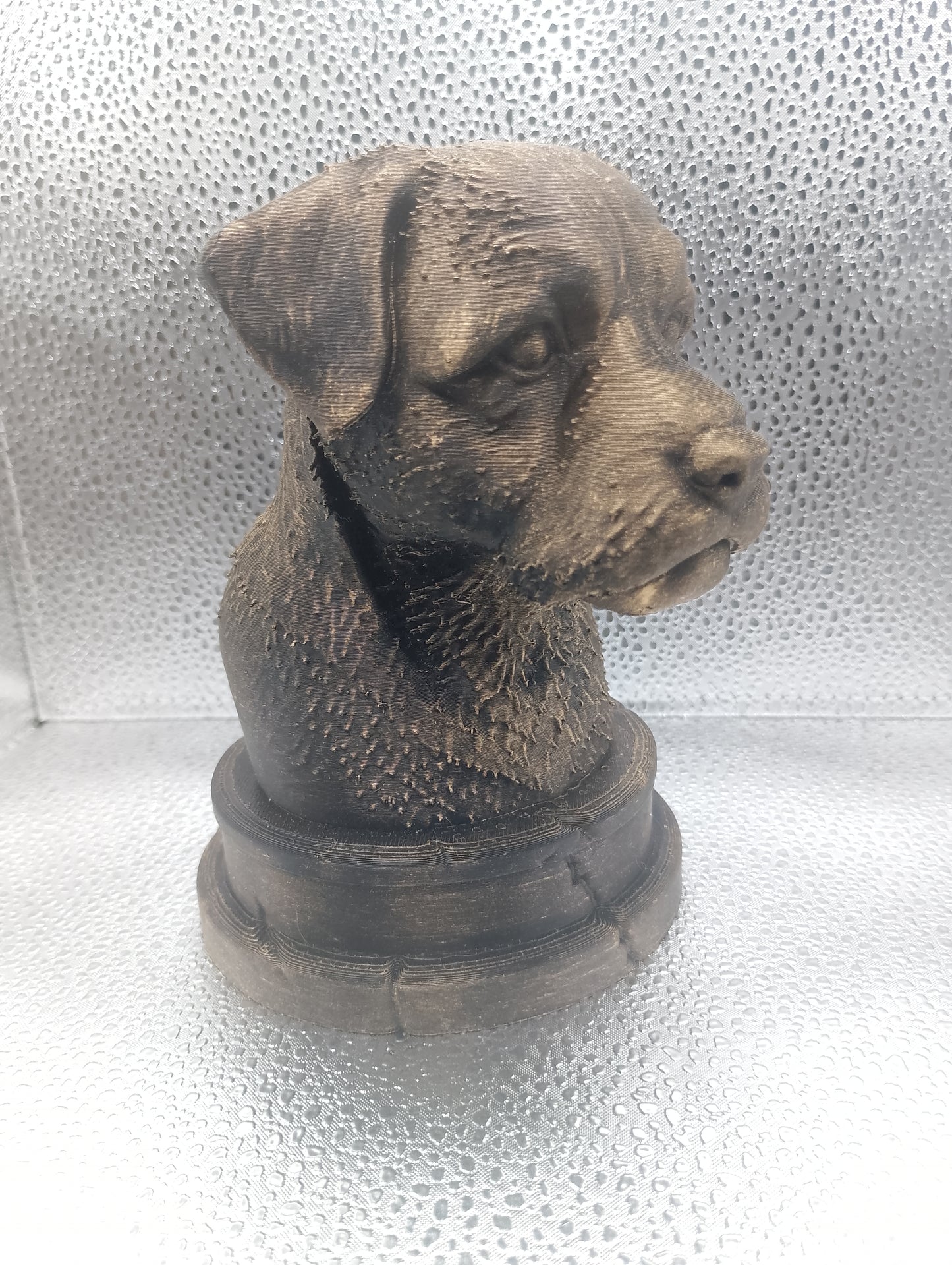 Border Terrier Bust