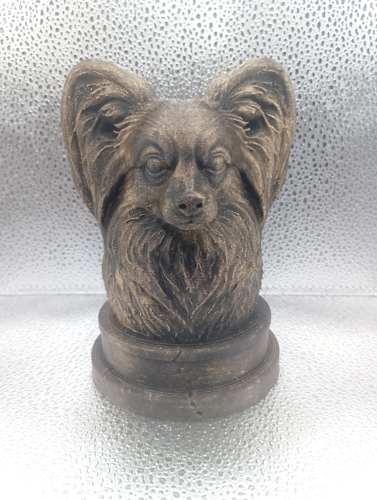 Papillon Bust