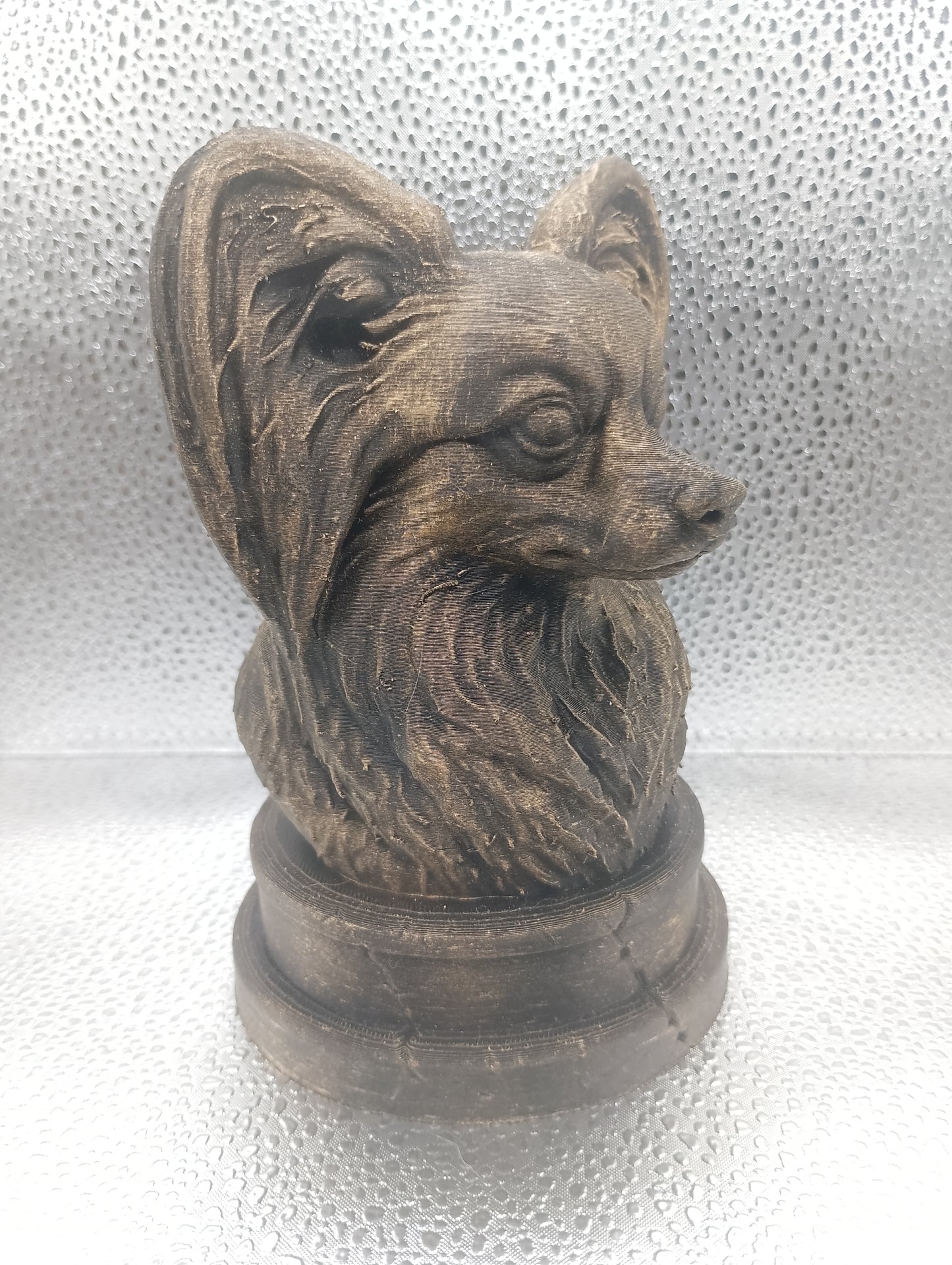 Papillon Bust