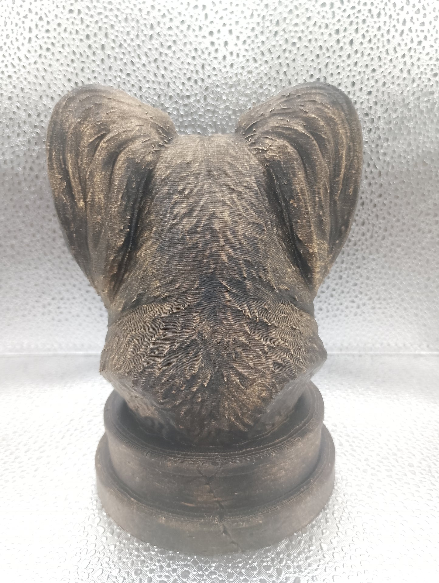 Papillon Bust