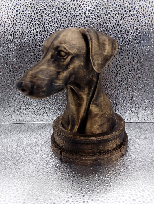 Sloughi Bust