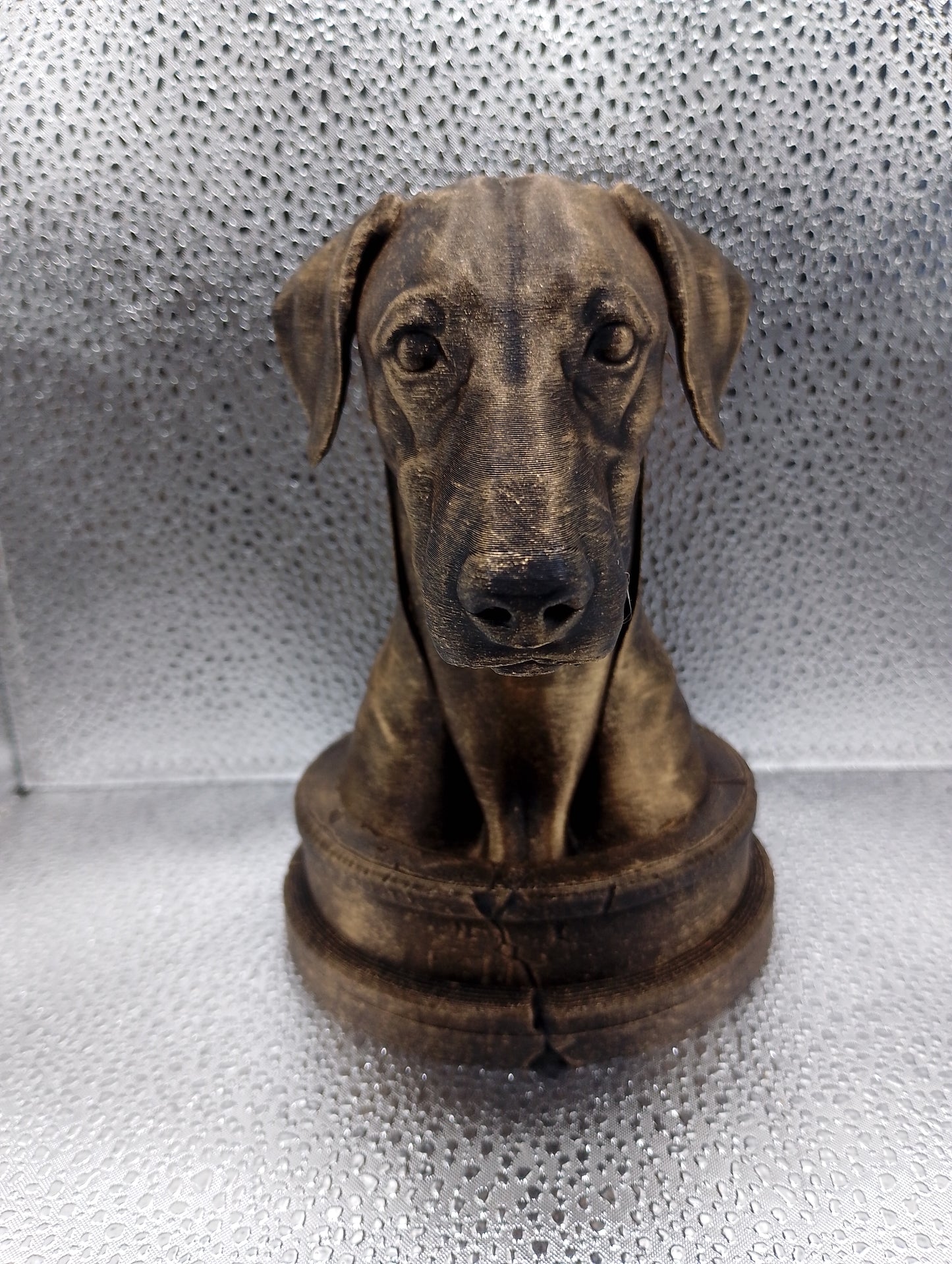 Sloughi Bust