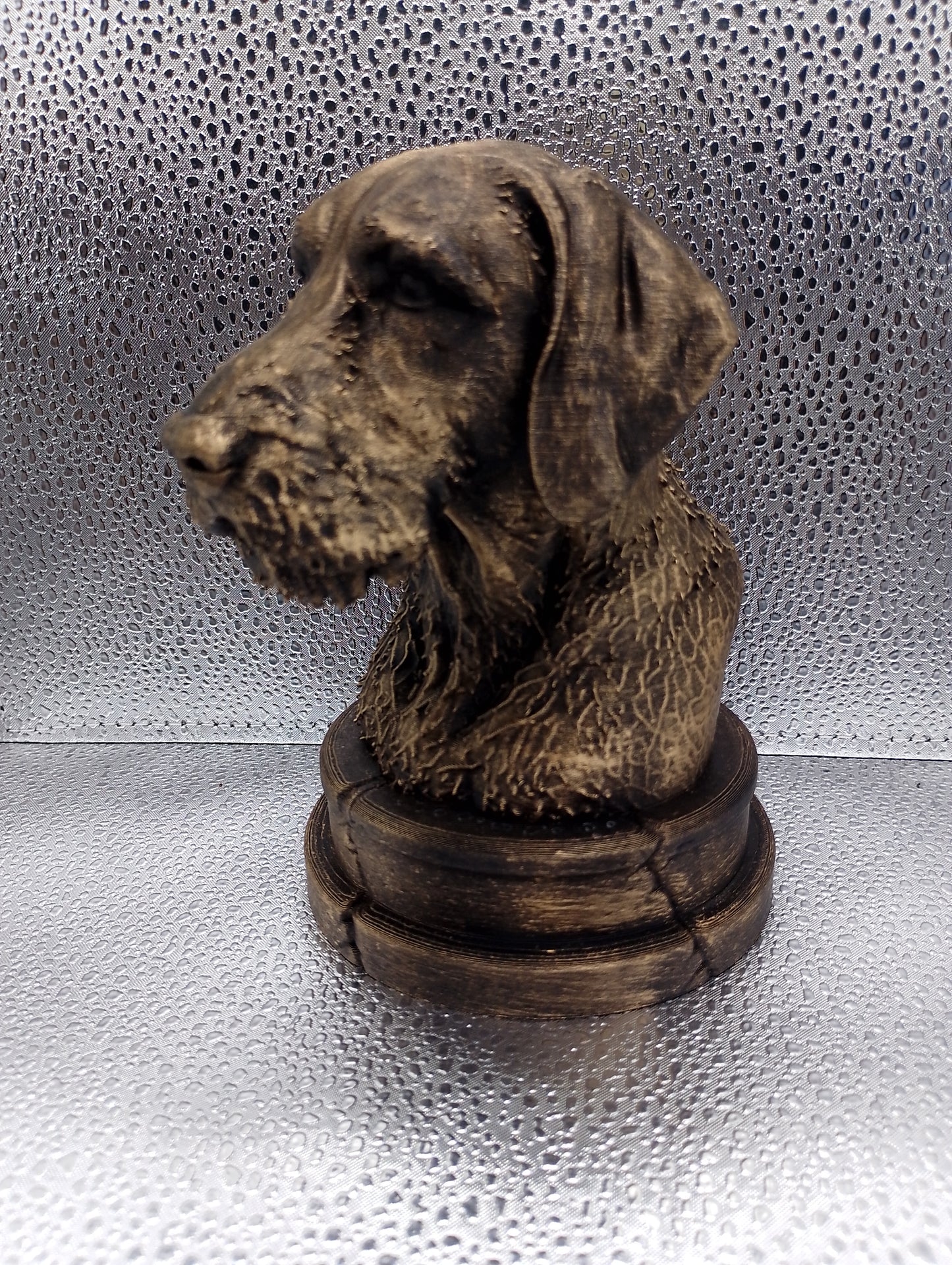 Wirehaired Vizsla Bust