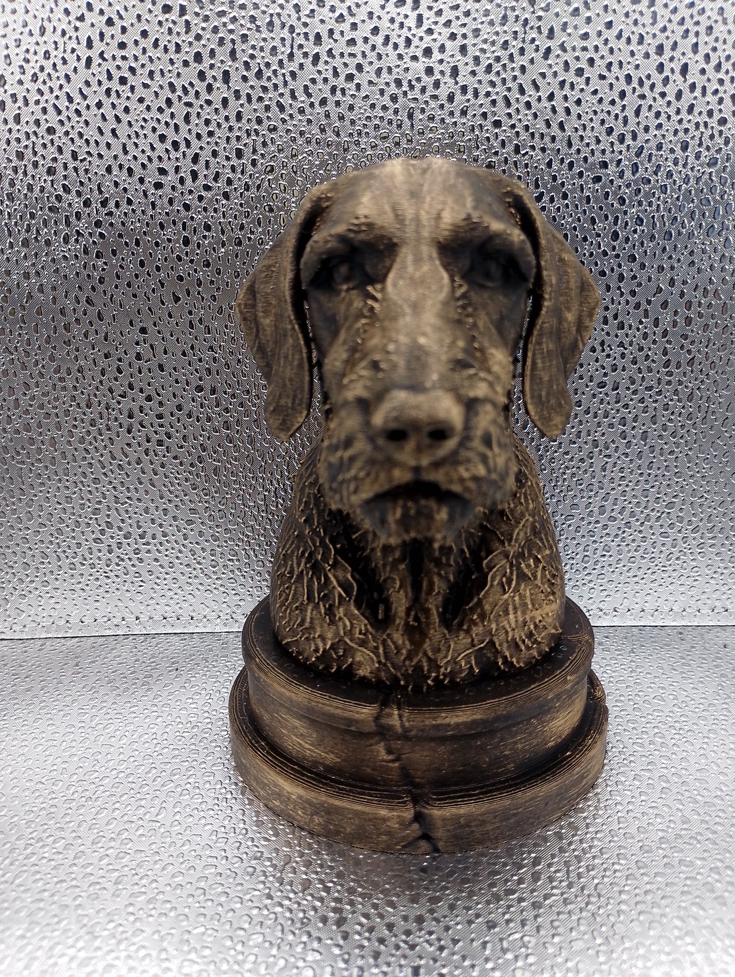 Wirehaired Vizsla Bust