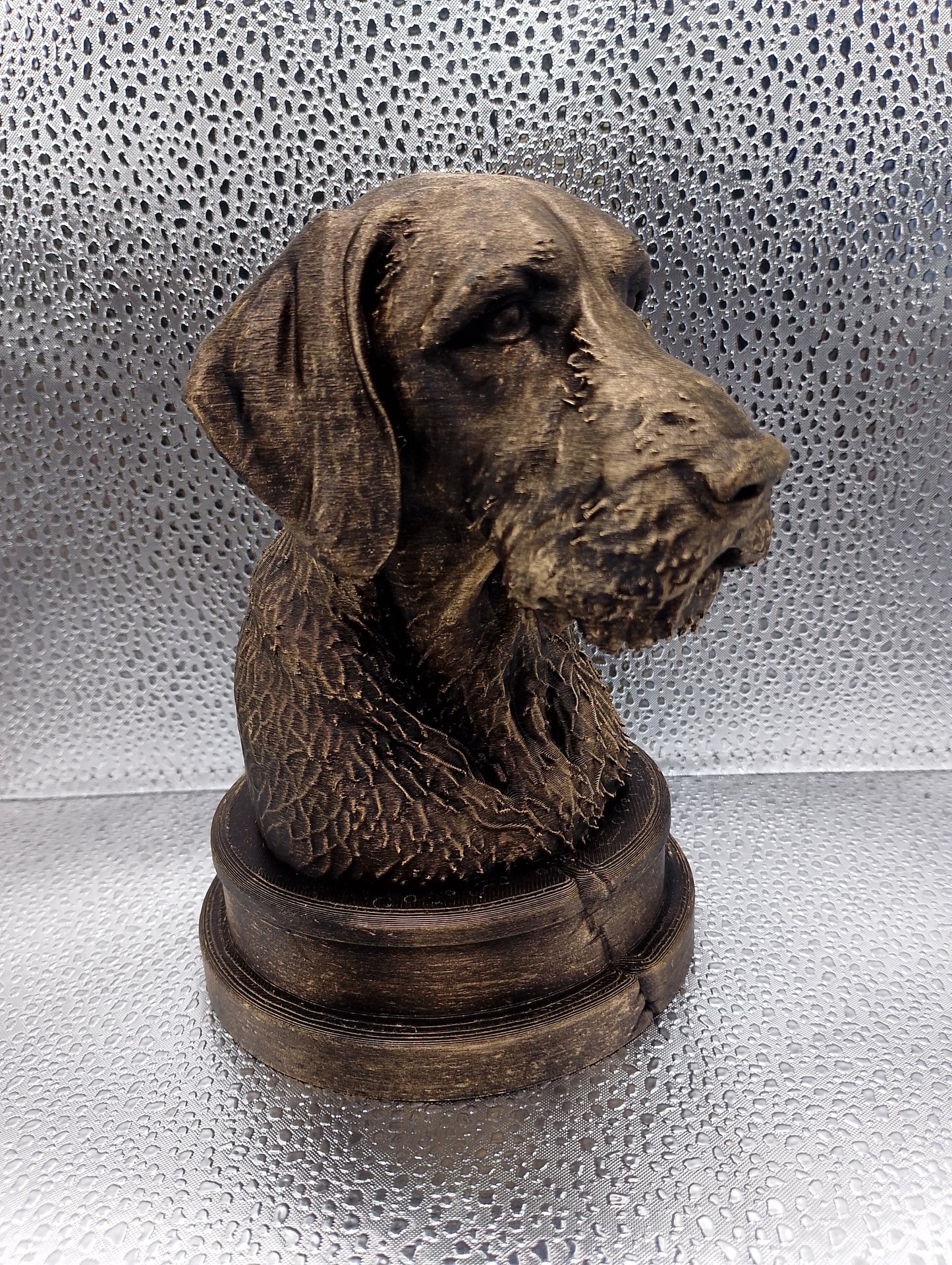 Wirehaired Vizsla Bust