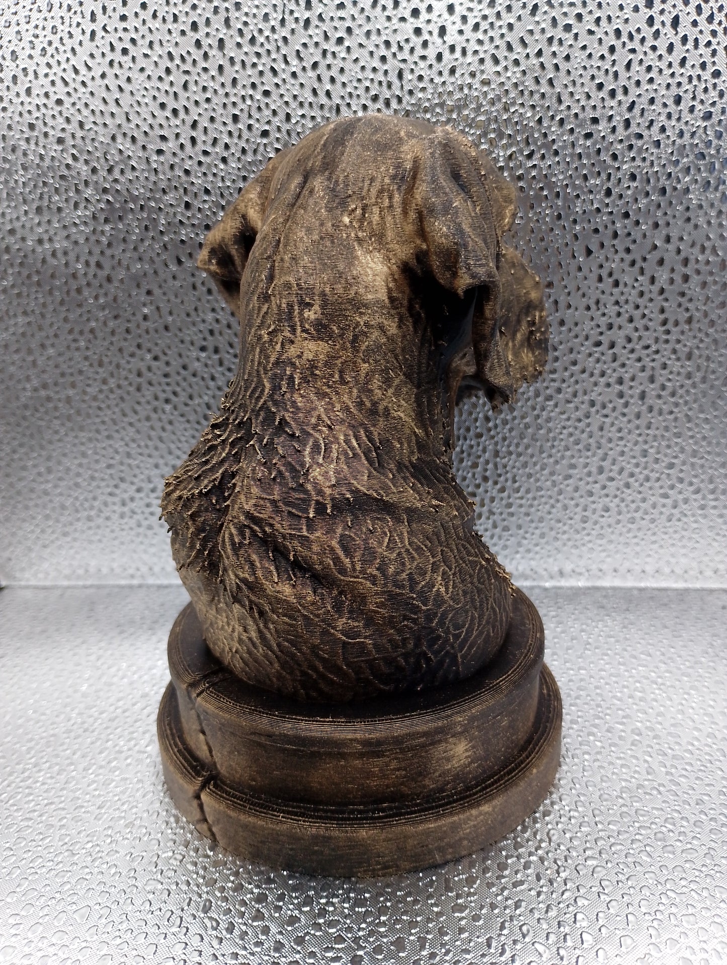 Wirehaired Vizsla Bust