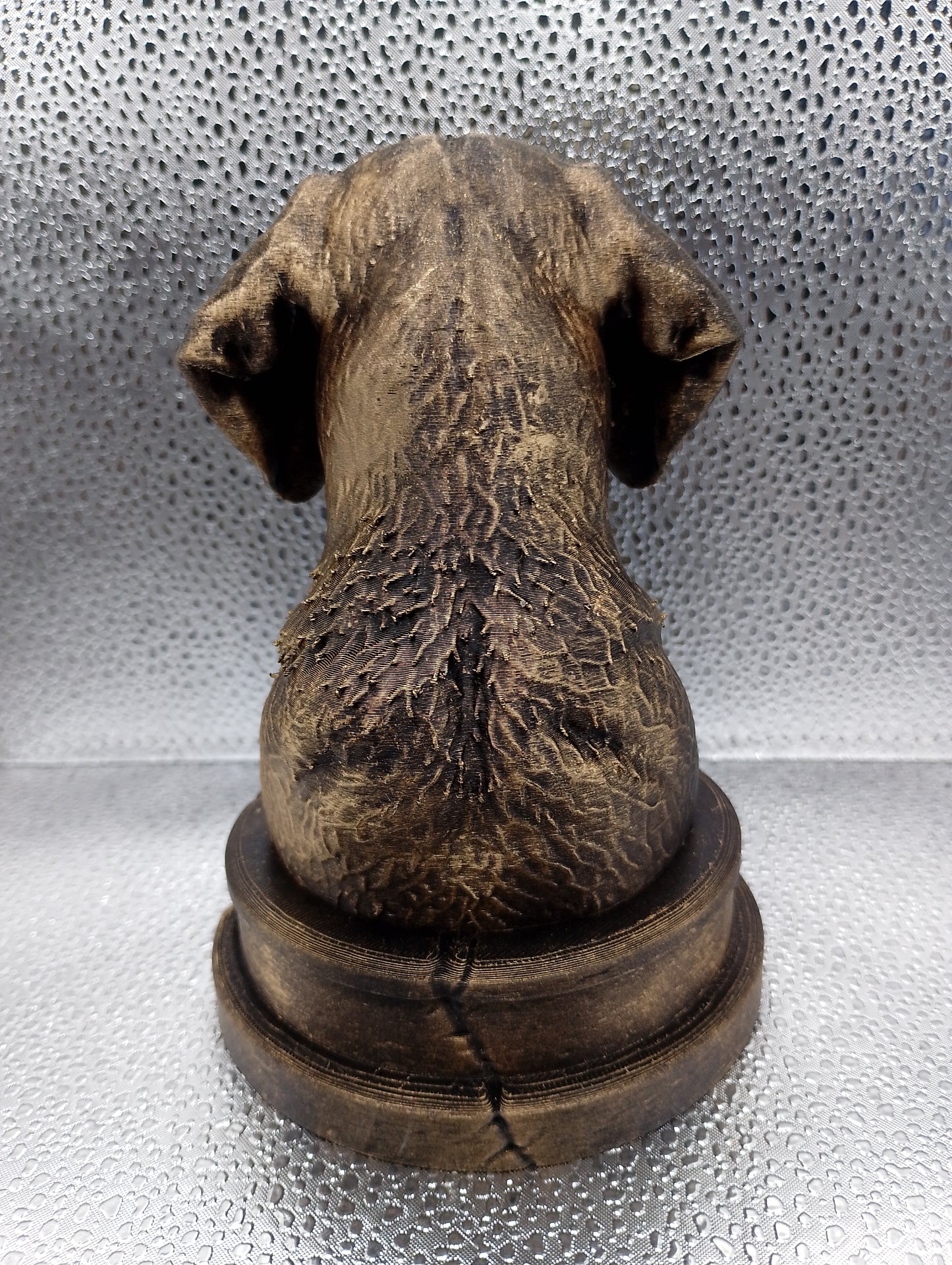 Wirehaired Vizsla Bust