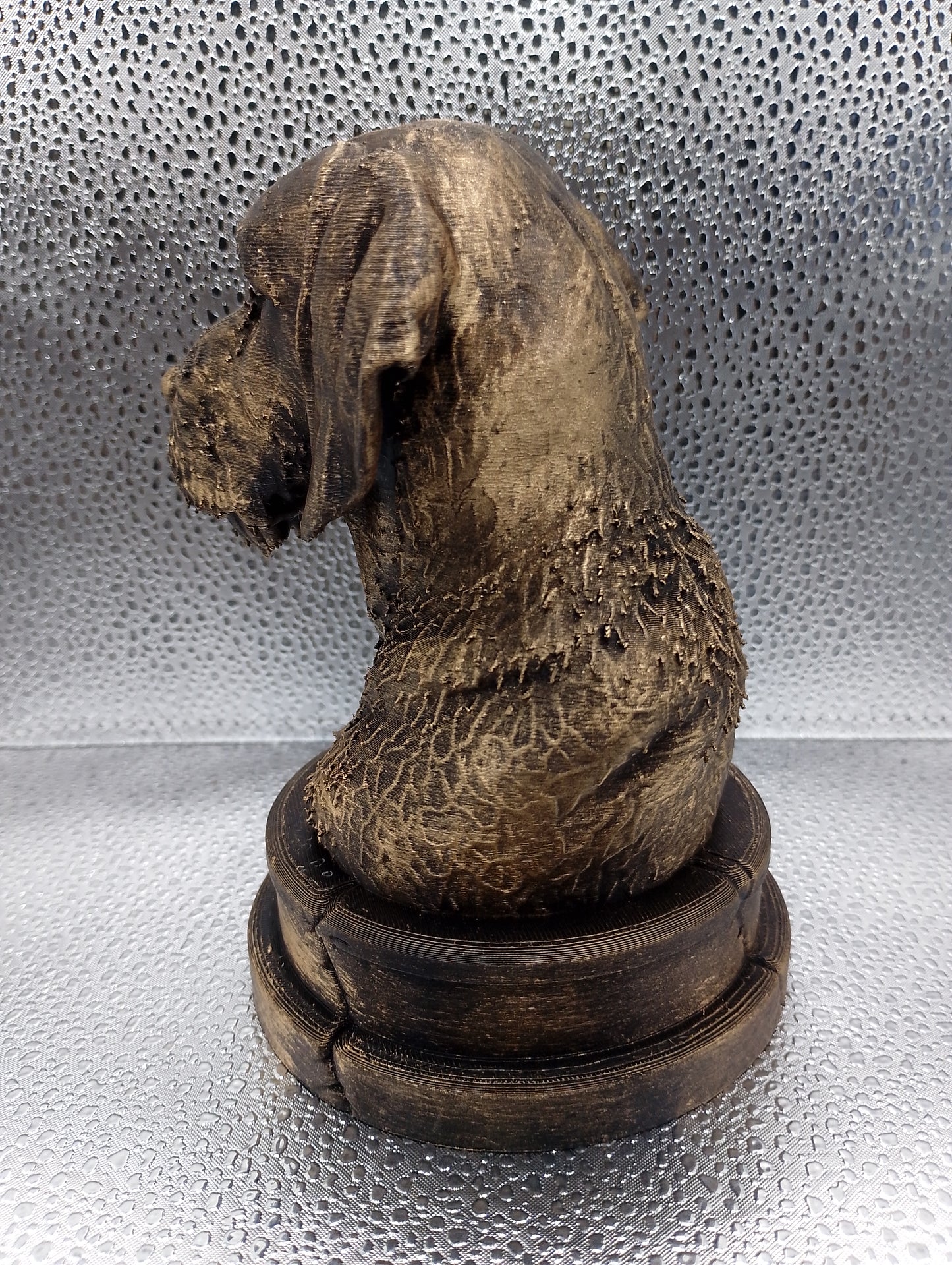 Wirehaired Vizsla Bust