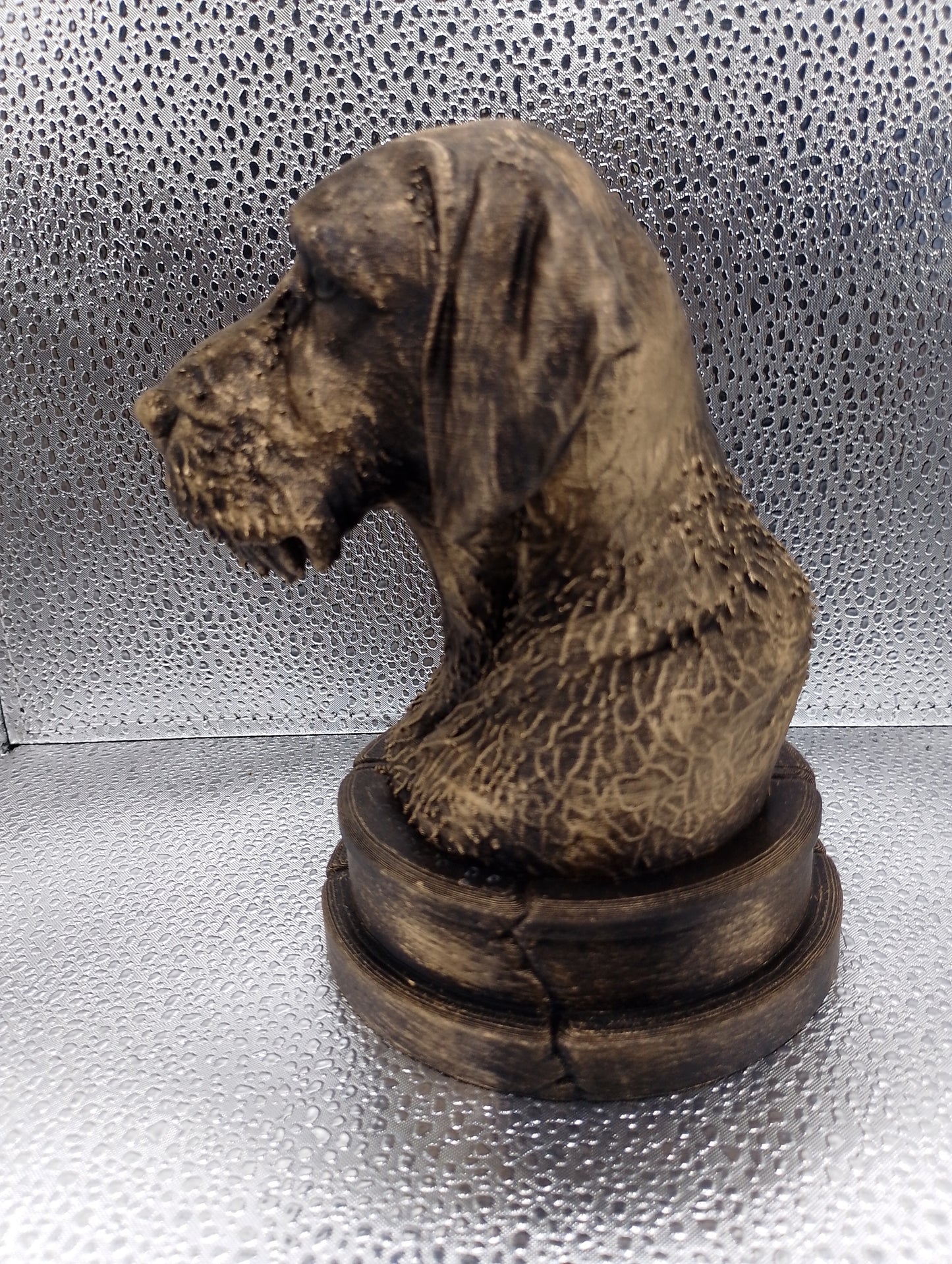 Wirehaired Vizsla Bust