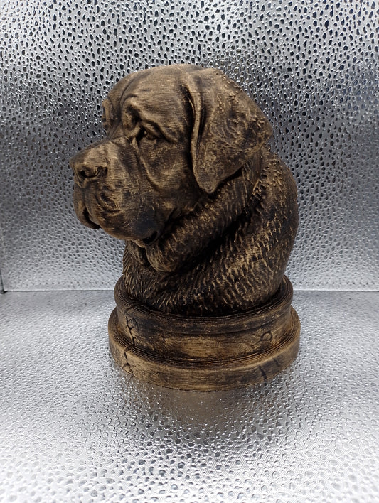 Saint Bernard Bust