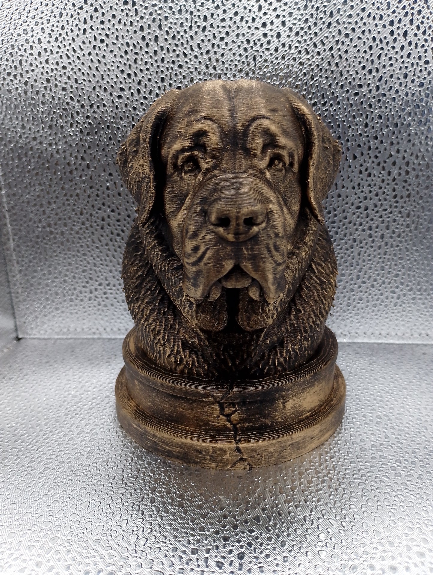 Saint Bernard Bust