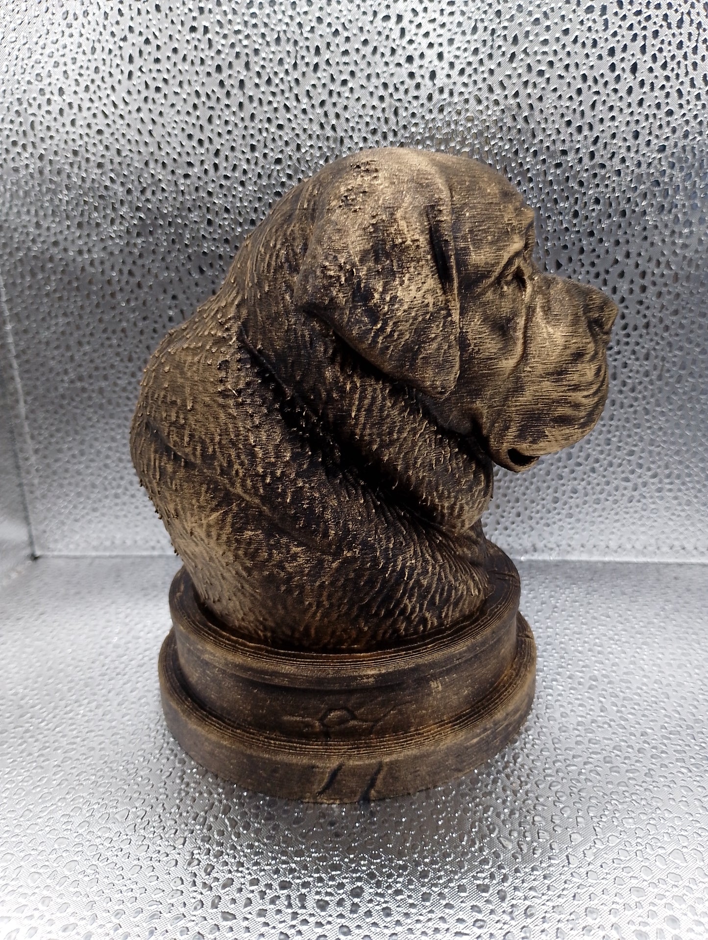 Saint Bernard Bust