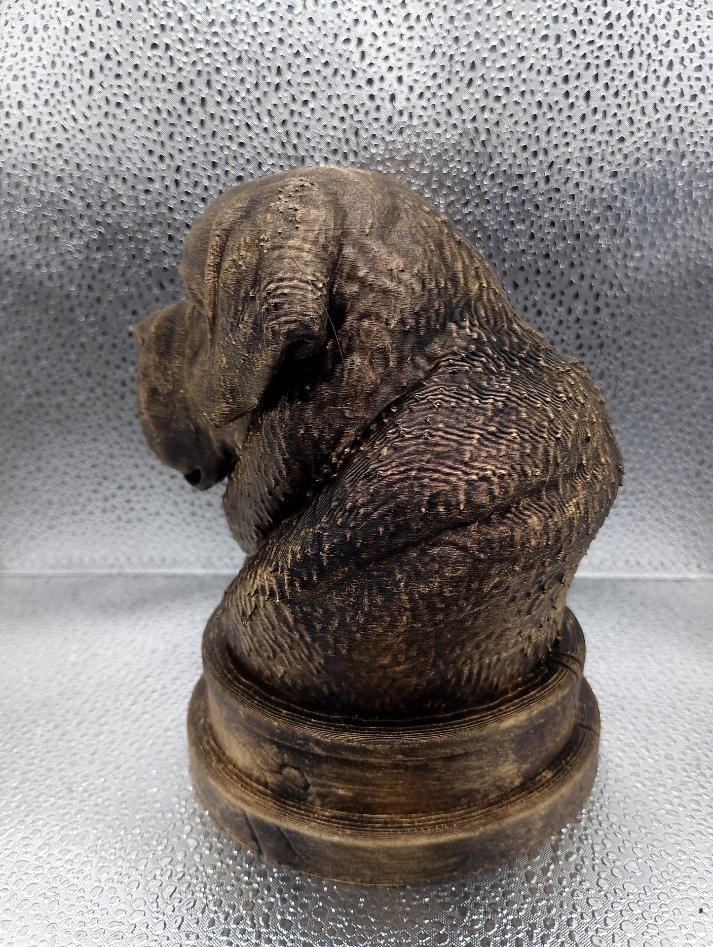 Saint Bernard Bust