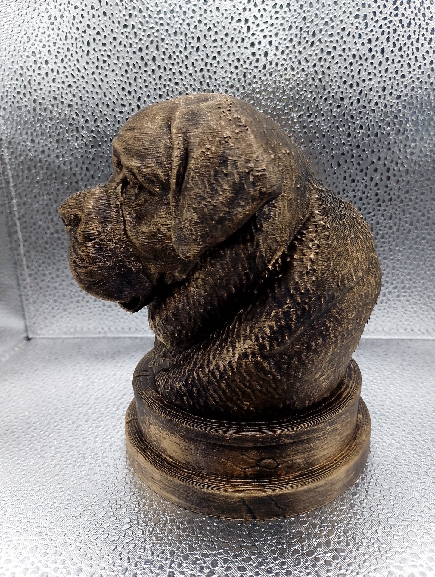 Saint Bernard Bust