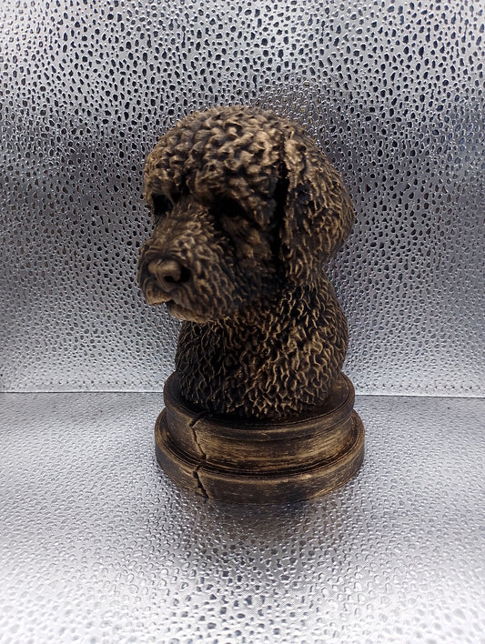 Lagotto Romagnolo Bust