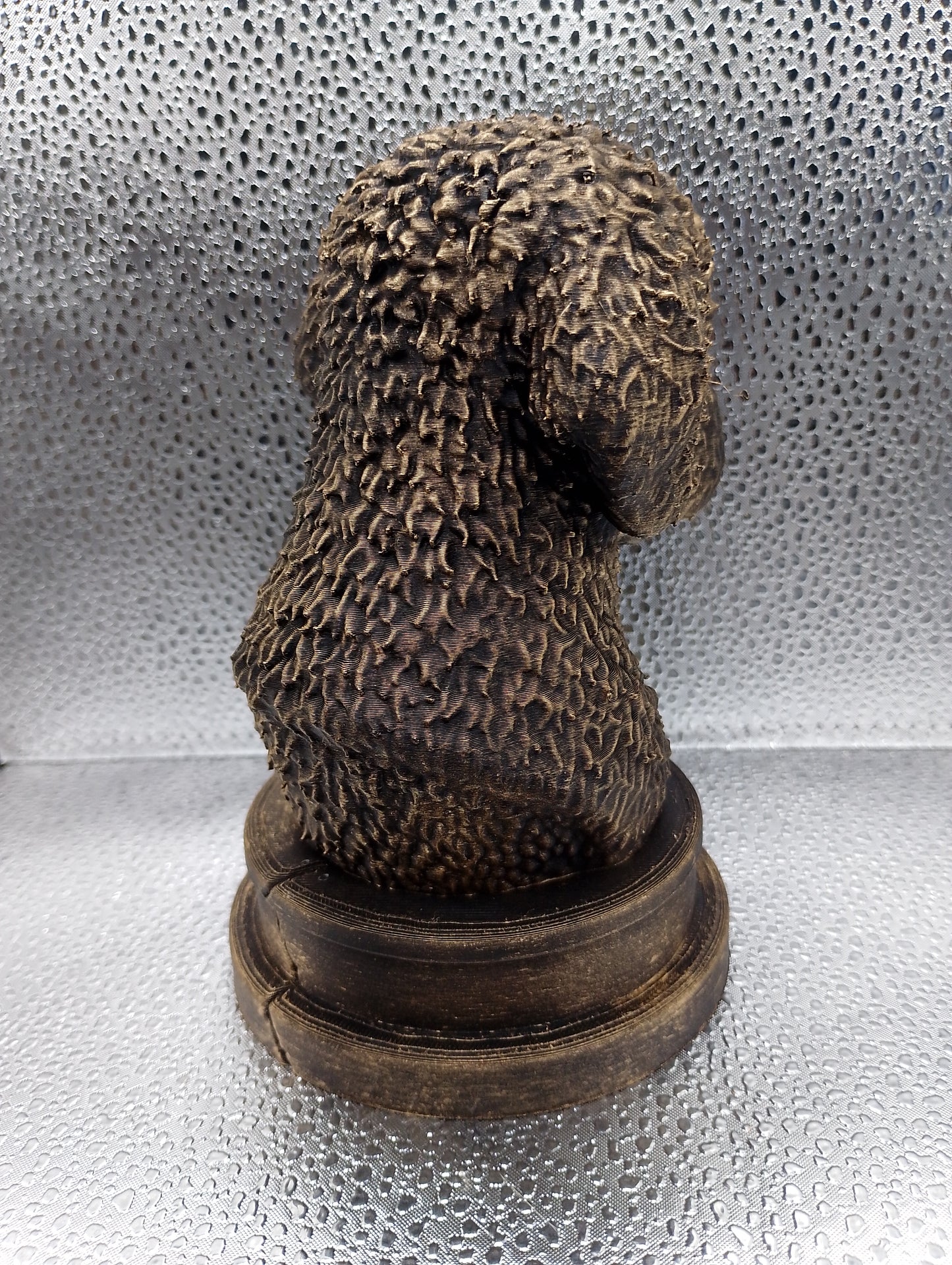 Lagotto Romagnolo Bust