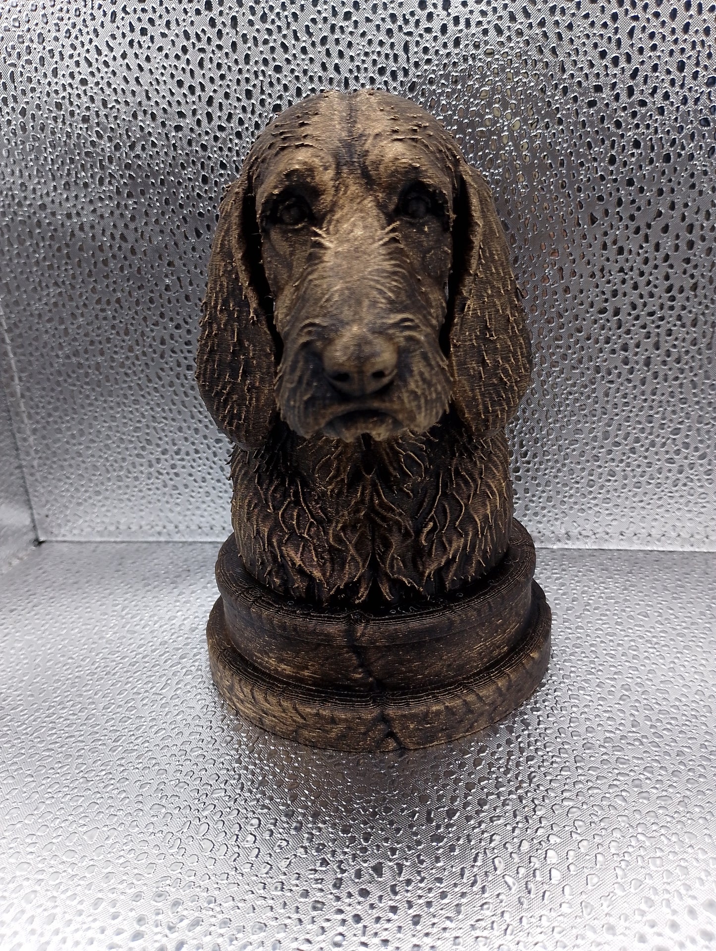 Poitevin Bust
