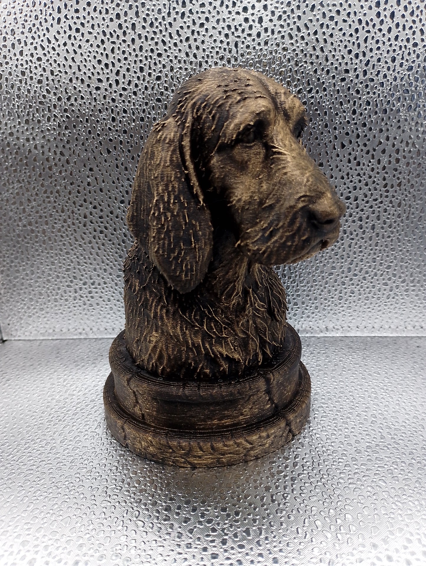 Poitevin Bust
