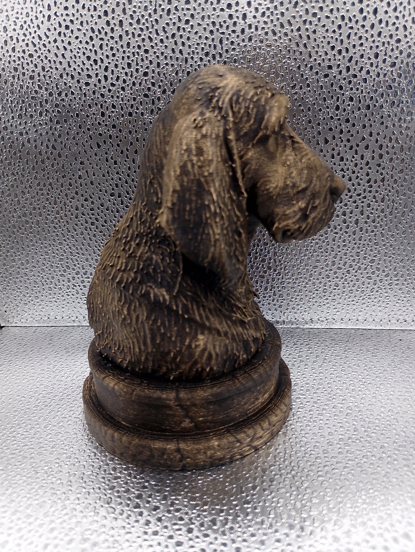 Poitevin Bust